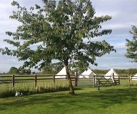 Skipbridge Farm Shepherds Huts Campground Green Hammerton Eksteriør billede