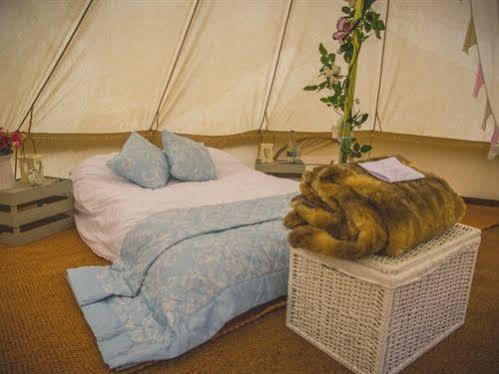 Skipbridge Farm Shepherds Huts Campground Green Hammerton Eksteriør billede