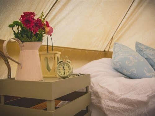 Skipbridge Farm Shepherds Huts Campground Green Hammerton Eksteriør billede