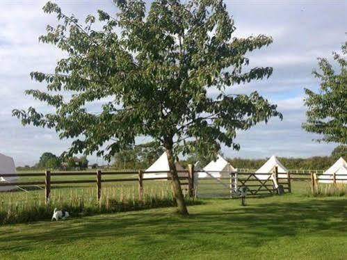 Skipbridge Farm Shepherds Huts Campground Green Hammerton Eksteriør billede